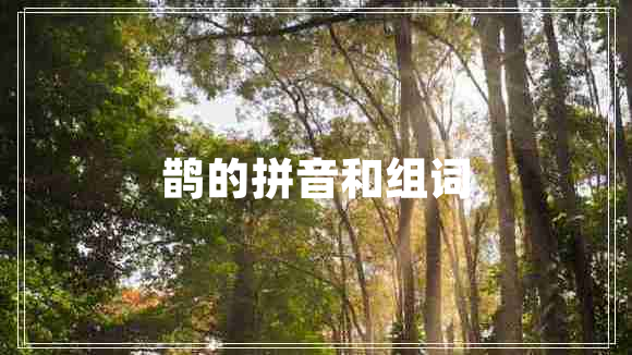 鵲的拼音和組詞