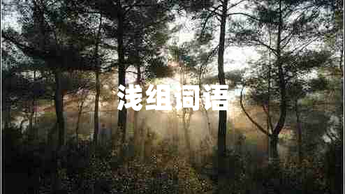 淺組詞語(yǔ)