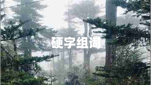 硬字組詞