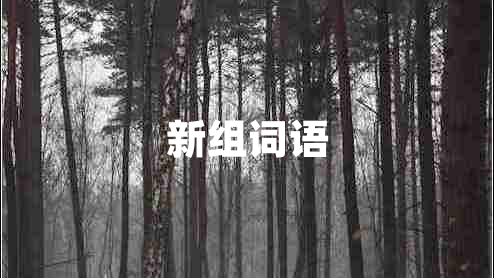 新組詞語(yǔ)