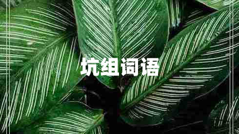 坑組詞語(yǔ)