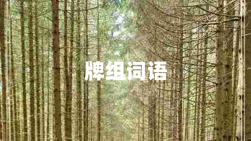 牌組詞語(yǔ)