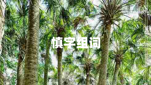 慎字組詞