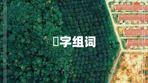 啰字組詞