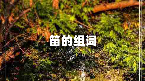 笛的組詞