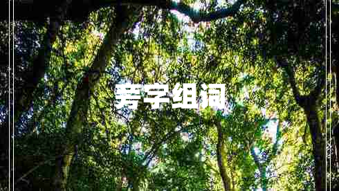旁字組詞