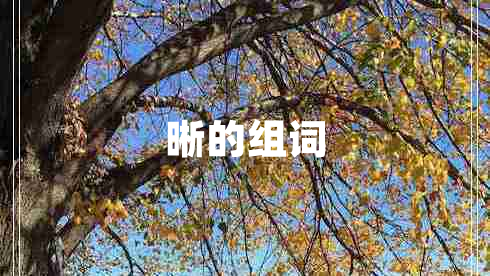 晰的組詞