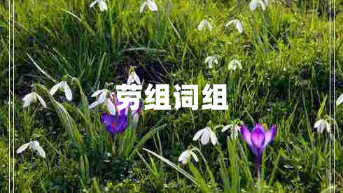 勞組詞組