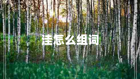 洼怎么組詞
