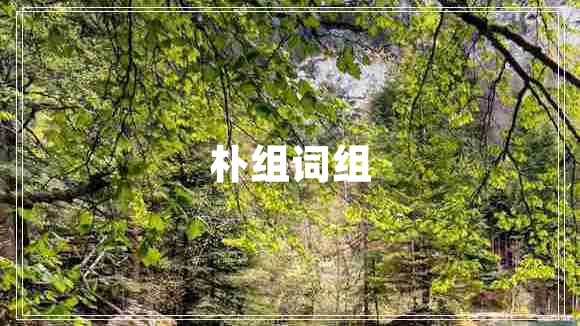 樸組詞組