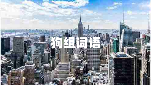 狗組詞語(yǔ)
