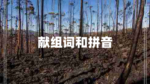 獻組詞和拼音