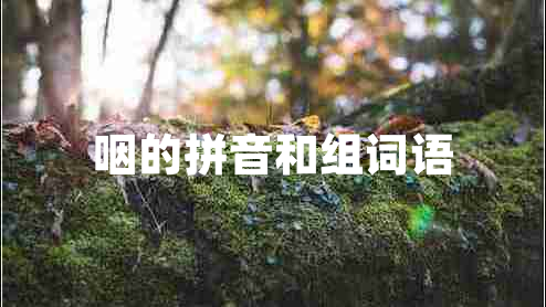 咽的拼音和組詞語(yǔ)