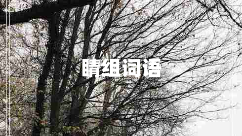 睛組詞語(yǔ)