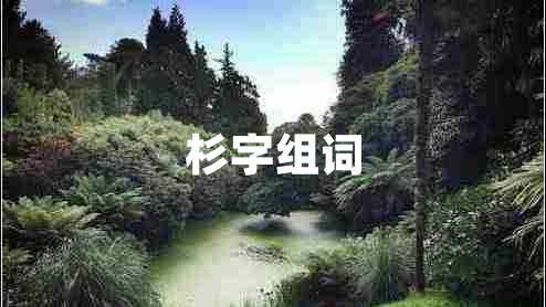 杉字組詞
