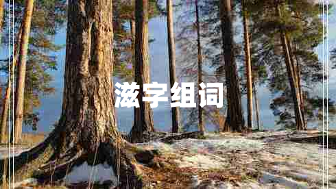 滋字組詞