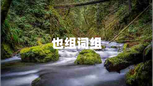 也組詞組