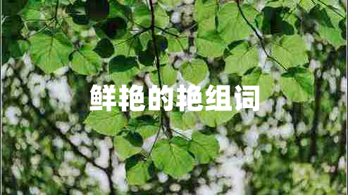鮮艷的艷組詞