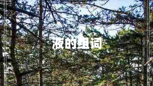 液的組詞