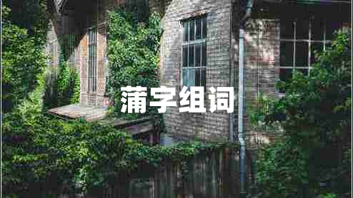 蒲字組詞