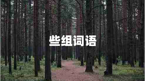 些組詞語(yǔ)