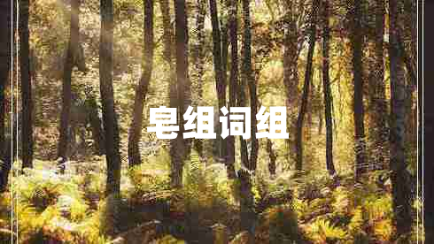 皂組詞組