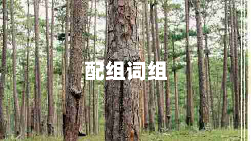 配組詞組