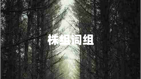 株組詞組