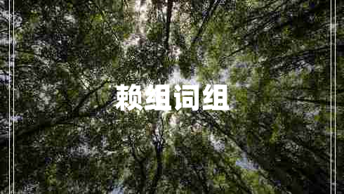 賴(lài)組詞組