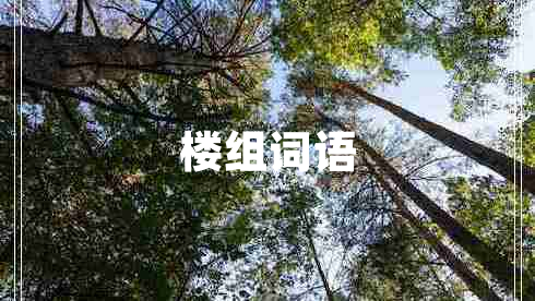 樓組詞語(yǔ)