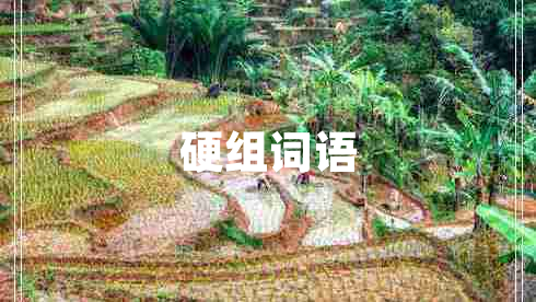 硬組詞語(yǔ)