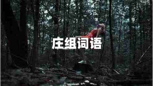 莊組詞語(yǔ)