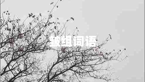 皺組詞語(yǔ)