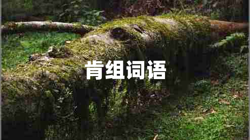 肯組詞語(yǔ)