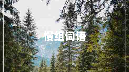慢組詞語(yǔ)