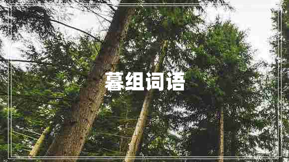 暮組詞語(yǔ)