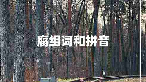 腐組詞和拼音