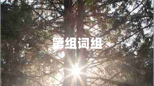 第組詞組