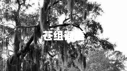 蒼組詞語(yǔ)