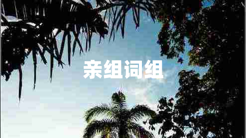 親組詞組