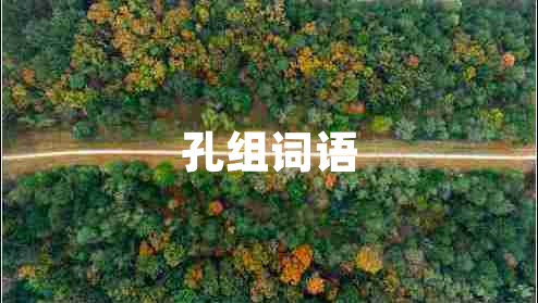 孔組詞語(yǔ)