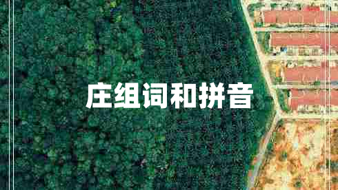 莊組詞和拼音