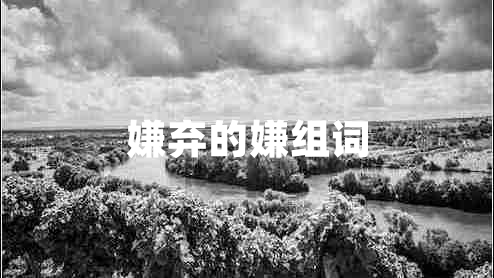 嫌棄的嫌組詞