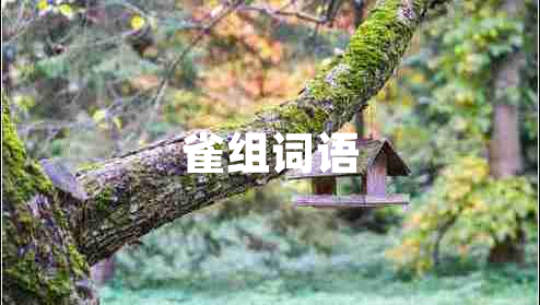 雀組詞語(yǔ)