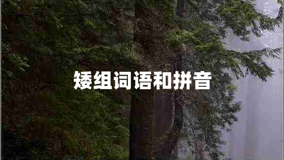 矮組詞語(yǔ)和拼音