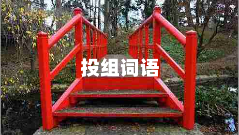 投組詞語(yǔ)
