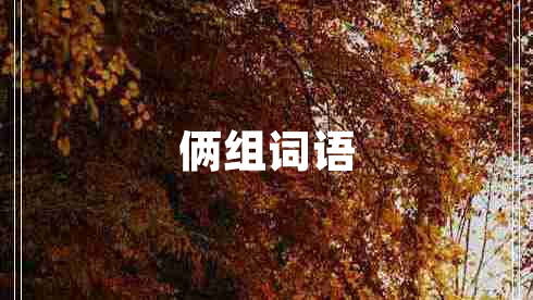 倆組詞語(yǔ)