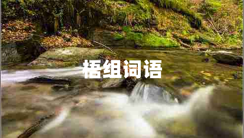 梧組詞語(yǔ)
