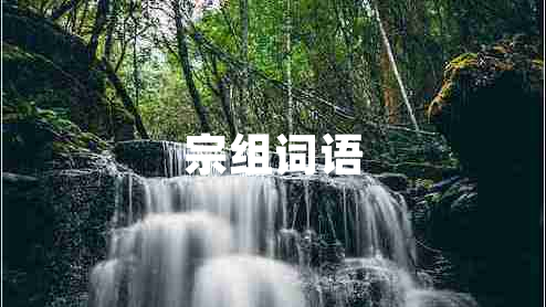 宗組詞語(yǔ)