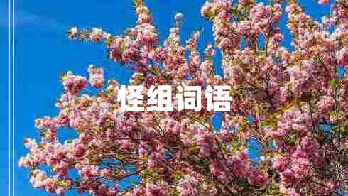 怪組詞語(yǔ)